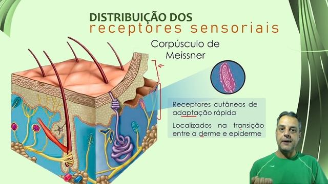 Sensibilidade Somática смотреть онлайн