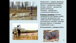 Дубынин В. А. - Мозг: как он устроен и работает - 6. Обучение и память. Часть 2