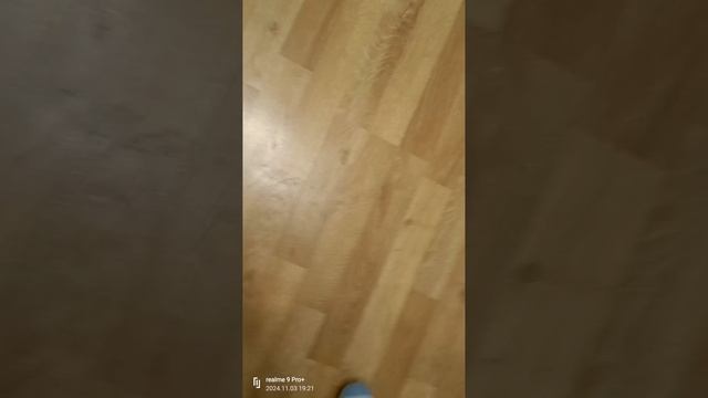 Внешний вид Inmotion V8 смотреть онлайн