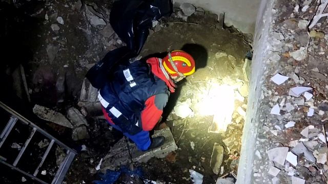 Бедный Йорик