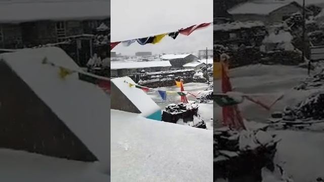 #snow #beautiful #surahrahman #snowcovered #nature #view #alpine #2022status #views_viral_video_sub смотреть онлайн