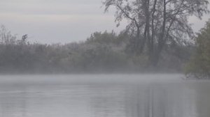 Осенняя Рыбалка по Сказочным местам! Ловля на Спиннинг!