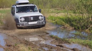 TANK 300, Haval Dargo, GAC GS8, Audi q3