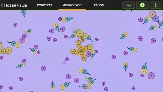 Cell Lab: Обзоры организмов: почкующийся хищник (сделано мной) смотреть онлайн