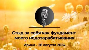 Спикерская АНЗ «Стыд за себя как фундамент моего недозарабатывания» Ирина, 28 августа 2024 года