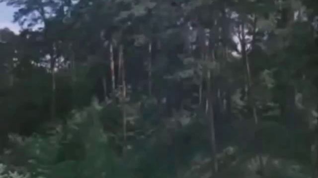 Майя Кристалинская - Ты не печалься, ты возвращайся 1964 г смотреть онлайн