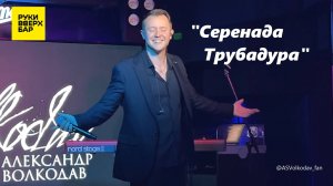 «СЕРЕНАДА ТРУБАДУРА» - исп. Александр Волкодав, Питер, РУКИ ВВЕРХ, 19/10/24 #александрволкодав