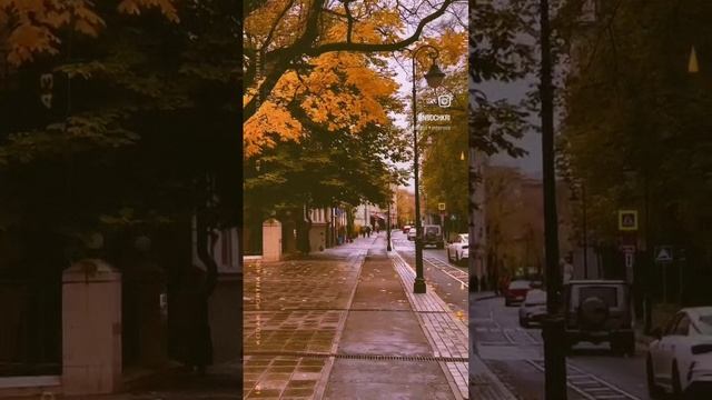 Патрики... смотреть онлайн