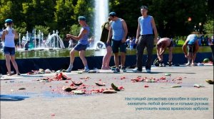 Сергей Тимошенко - Фронтовики