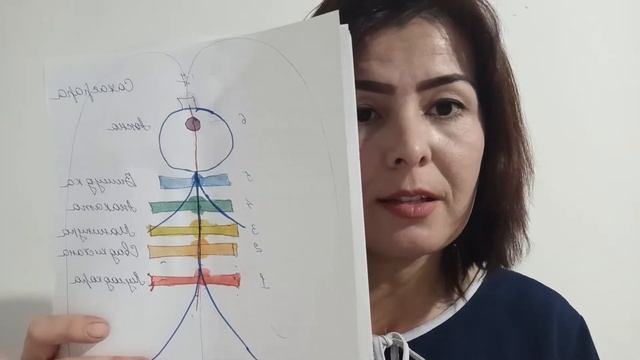 3 чакра ўзлик билан боғлиқ! смотреть онлайн