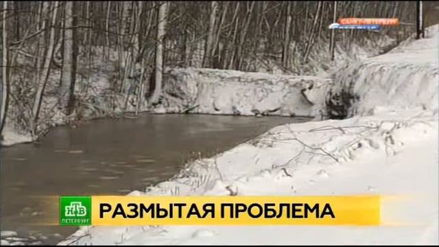 Росприроднадзор завел дело на полигон «Красный Бор» смотреть онлайн