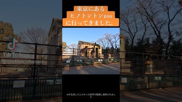 ＃ヒノトントンzoo　＃動物園　＃穴場 смотреть онлайн