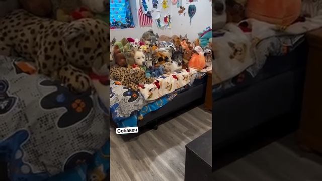 Поддержи подпиской 🙏 смотреть онлайн