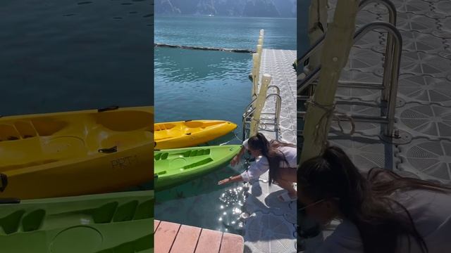 Тайланд огромный шмель #klykovshorts #love #продюсер #семья #путешествие #тайланд #пхукет #phuket смотреть онлайн