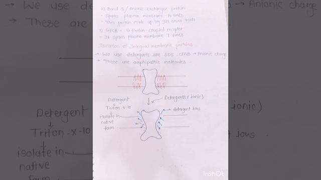 Plasma Membrane Proteins #bioscience #cellbiology #cellscience #science #cell смотреть онлайн