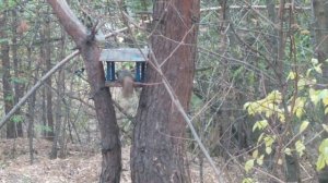 Осенний отпуск 2024