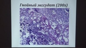 Манских В. Н. - Патология экспериментальных животных - 5. Воспаление