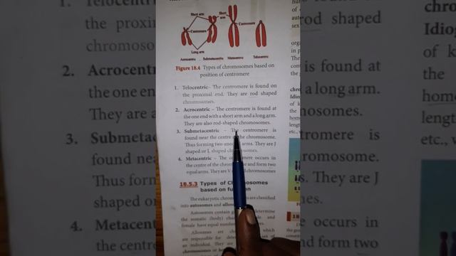 Types of Chromosomes смотреть онлайн