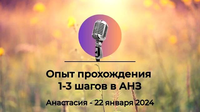 Спикерская АНЗ "Опыт прохождения 1-3 шагов в АНЗ" Анастасия, Москва, 22 января 2024 года смотреть онлайн