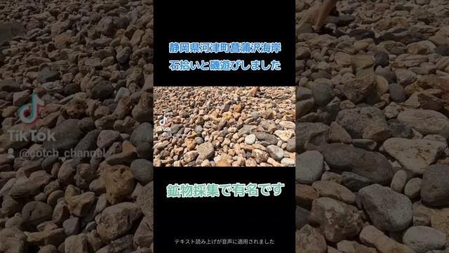 #鉱物採取　#菖蒲沢海岸　#石拾い　#磯遊び смотреть онлайн