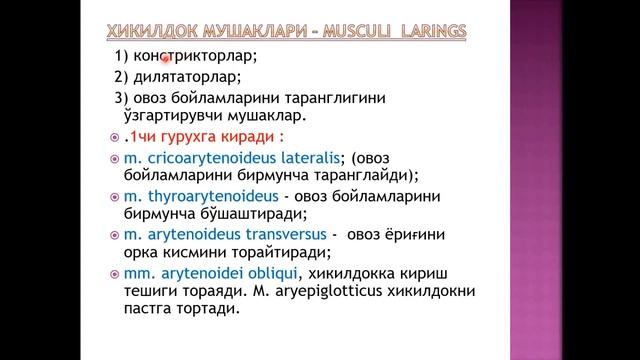 Нафас олиш системаси Анатомияси Бронхиоген безлар Плевра. Кўкс оралиғи. Анатомия. Маъруза смотреть онлайн