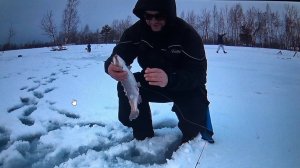 Ловля форели зимой 2024 на блесну  Williams . Работает 100% .