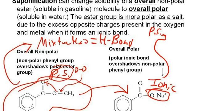 Ch 5 Acids esters PART 2 Commentary B 1 смотреть онлайн