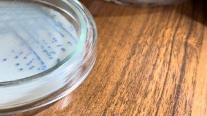 Проверка препарата Немацид КС.