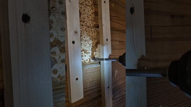 ОСВАИВАЮ РЕЗЬБУ ПО ДЕРЕВУ 🤣 #кириллов #mechanic #ремонт #баня #банясвоимируками #стройка смотреть онлайн