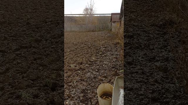 Ну вот я и дома :) Соскучились ?! ;) смотреть онлайн