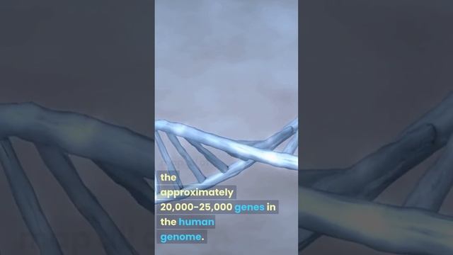 The first successful human genome sequencing was completed in 2003 смотреть онлайн