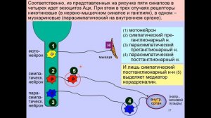 Дубынин В. А. - Химия мозга - 4. Ацетилхолин