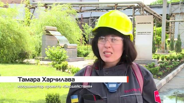 Линия успеха №176 10.06.2019 смотреть онлайн