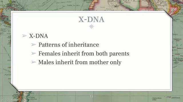 TFHG - DNA Test Types смотреть онлайн