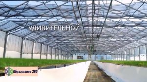 УРОК 18|7 класс. Структура растительного сообщества