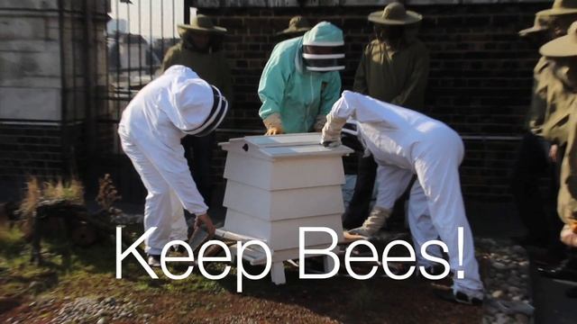 Orientation 2013 смотреть онлайн