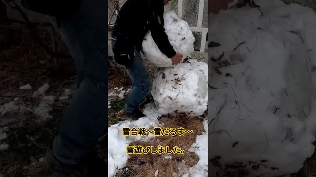 #雪だるま　#雪遊び　#雪合戦 смотреть онлайн