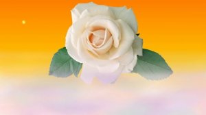 Футаж. Цветочный фон 197