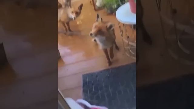 1000010793.mp4 смотреть онлайн