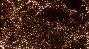 Зимняя сказка (зарисовка) | Winter fairy tale