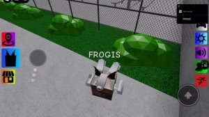 [факт о Dog_artemiy и FROGIS]