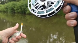 Рыбалка впроводку с лодки. Основы ловли впроводку.