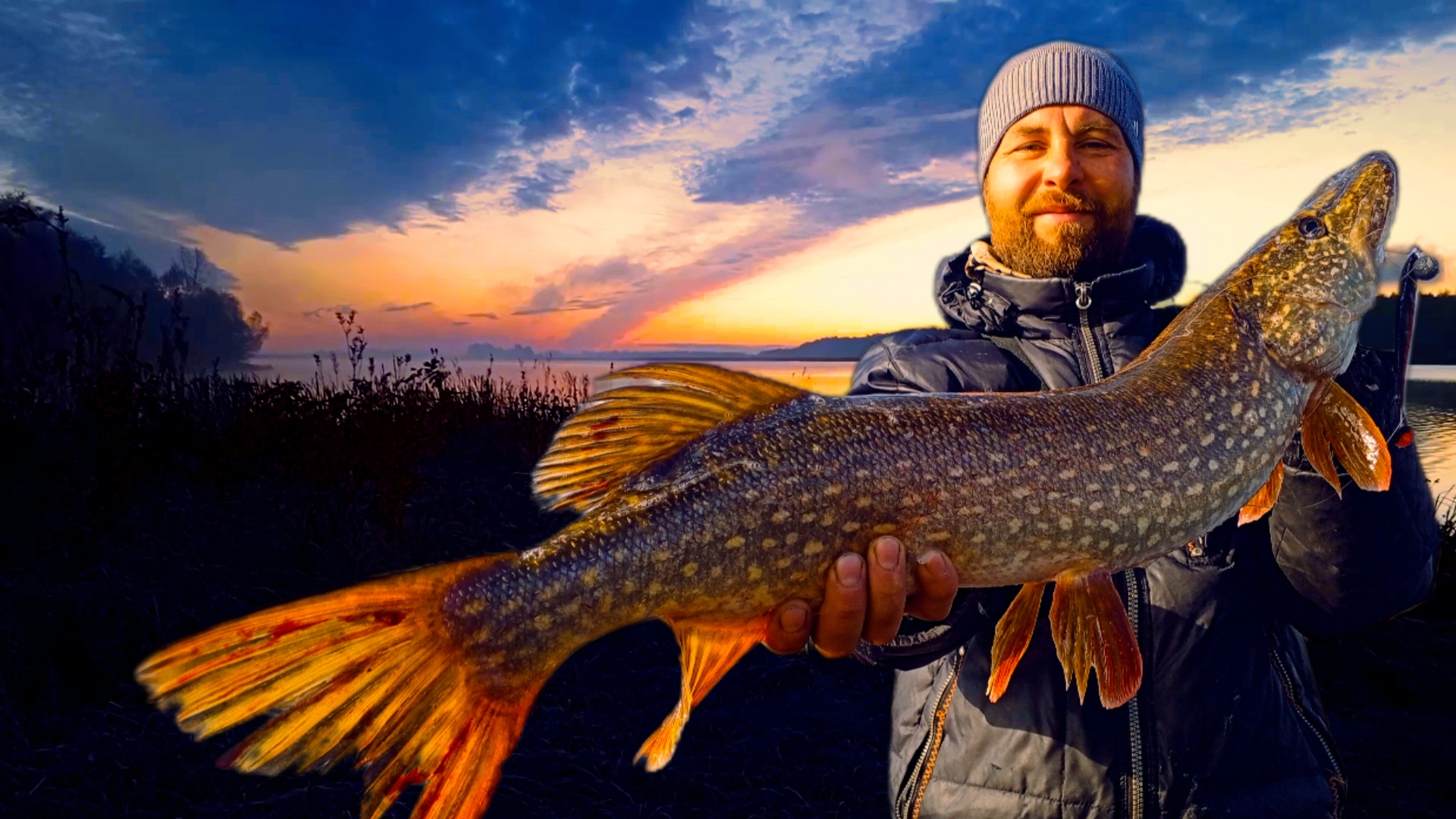 Чебоксарка.Осенние щуки в заводях Волги.