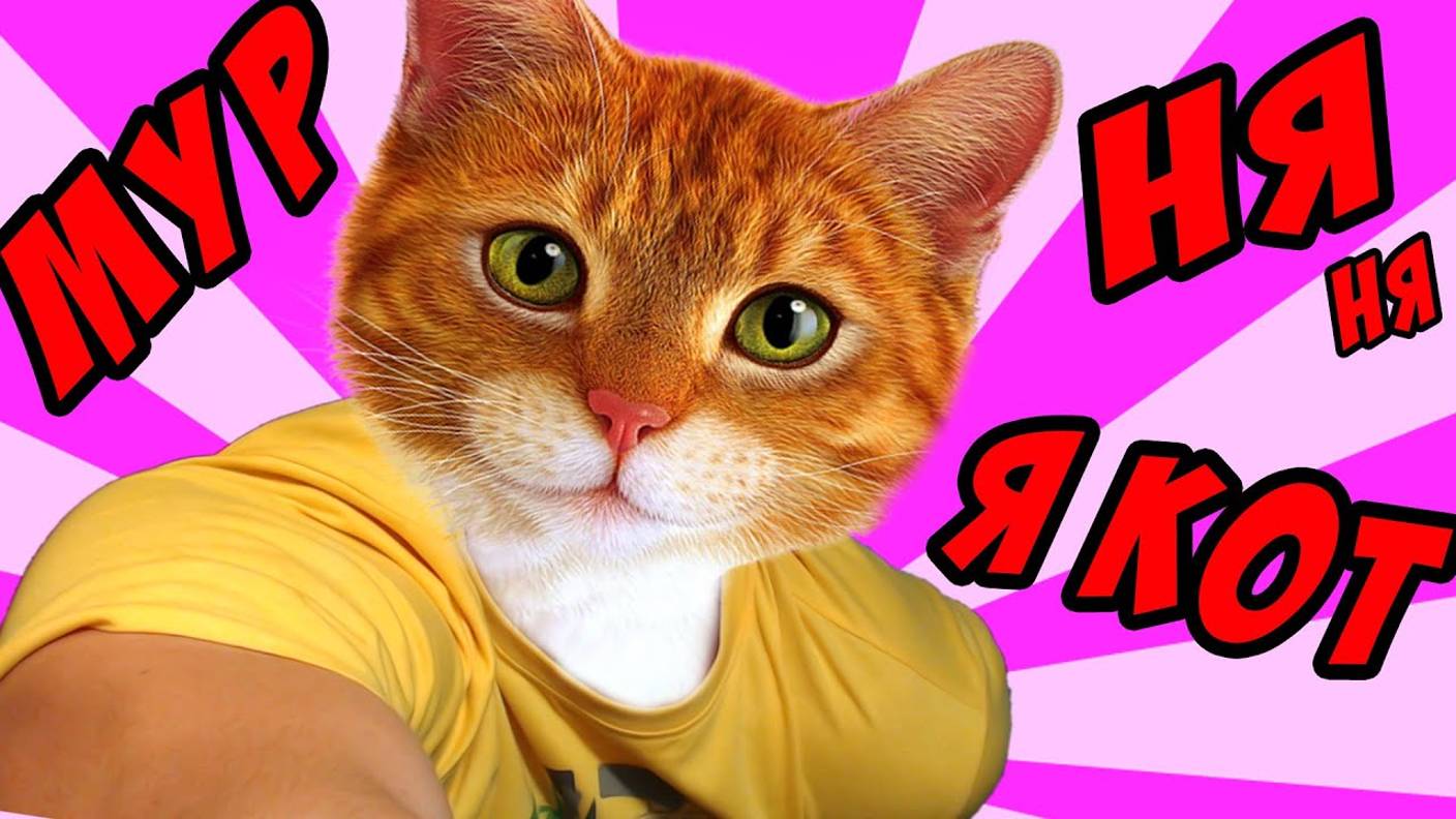 СИМУЛЯТОР КОТА -｜｜- Catlateral Damage смотреть онлайн