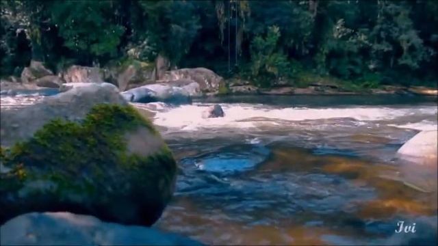 'Natureza' música de Ivi de Sousa смотреть онлайн