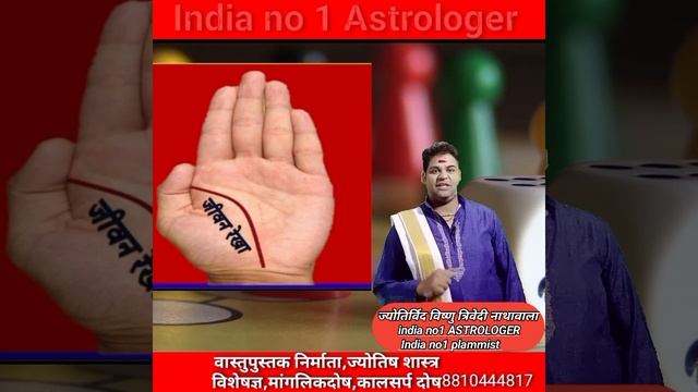 हस्तरेखा से गुरु पर्वत के कारण बहुत धनी व्यक्ति #astrologer #weekly India no1 Astrologer Vishnuji смотреть онлайн