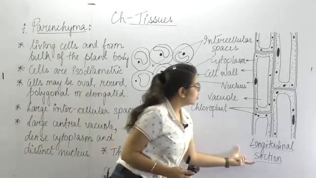 Ch- TISSUES Part-3 Class-9 by Diksha Ma'am смотреть онлайн