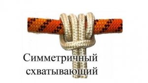 Схватывающие