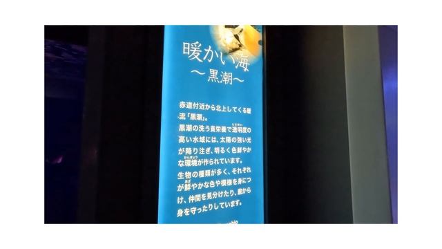 新江ノ島水族館に行ってきたよ〜 смотреть онлайн