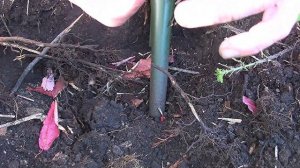 Поиск металлоискателем//Нашел серебряные монеты//Metal detector search//I found a Russian treasure